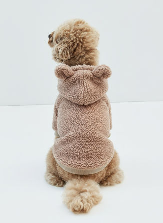 Köpek Mont Seçerken Dikkat Edilmesi Gerekenler