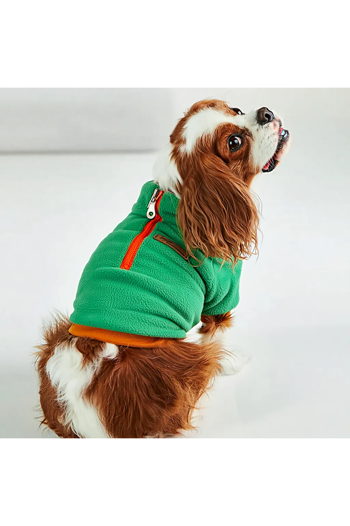 Fermuarlı Yeşil Sweat