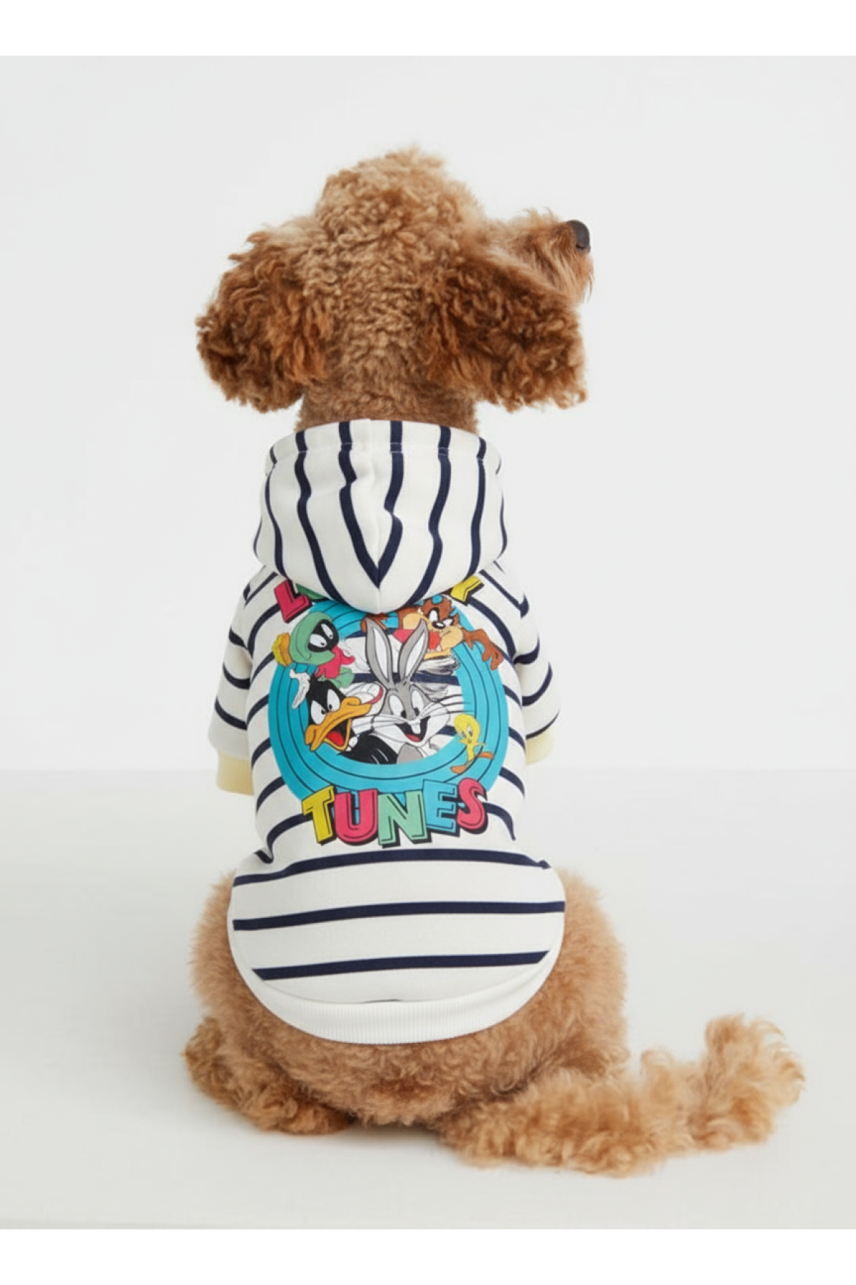 Looney Tunes Çizgili Sweat