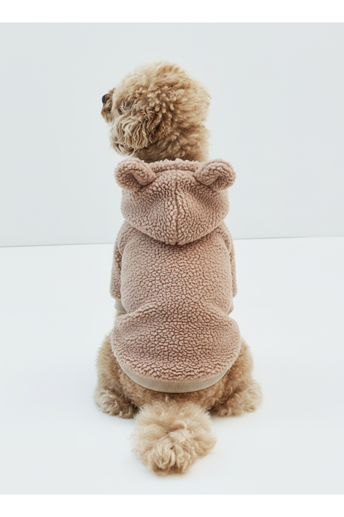 Kahverengi Polar Sweat 