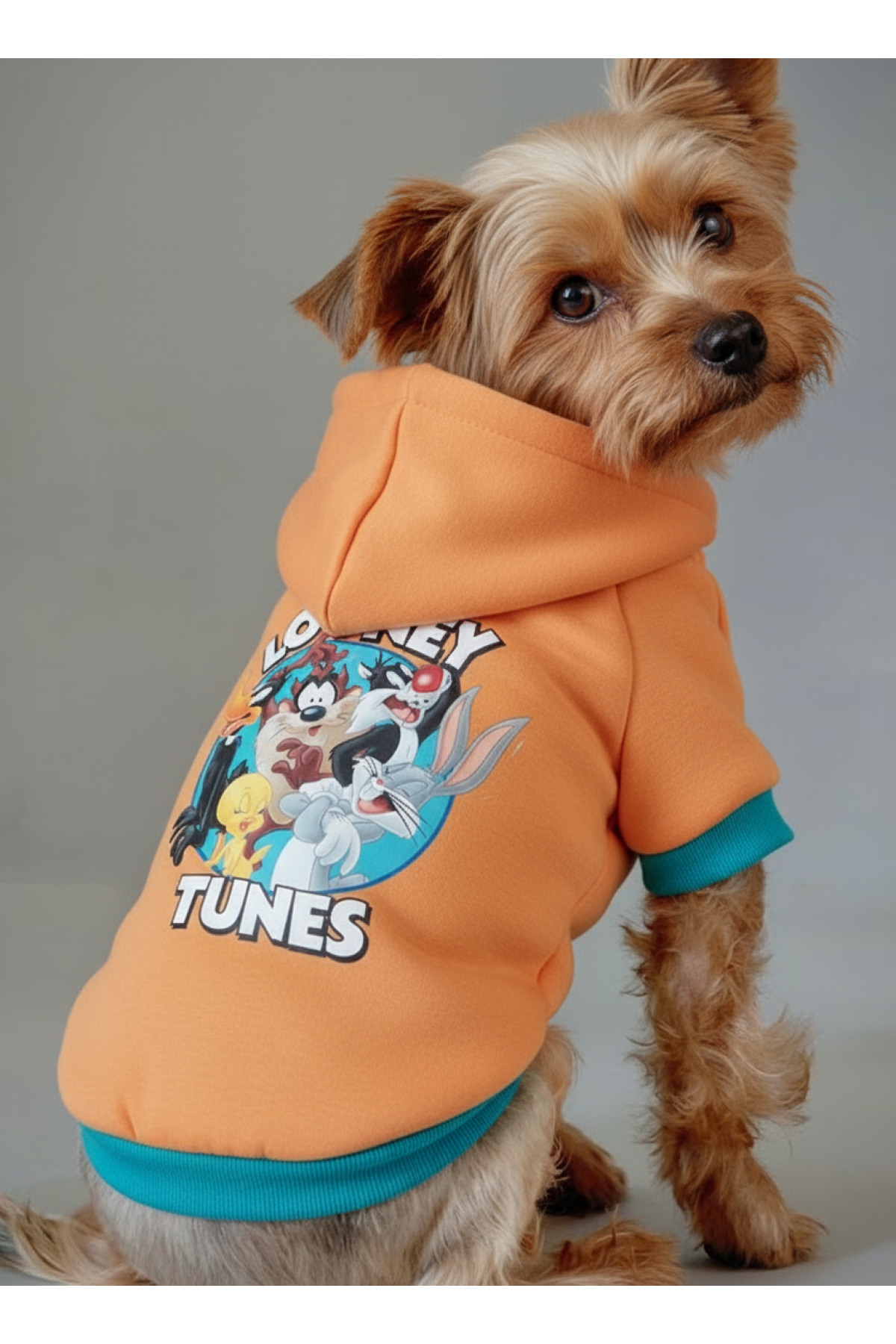 Looney Tunes Sweat